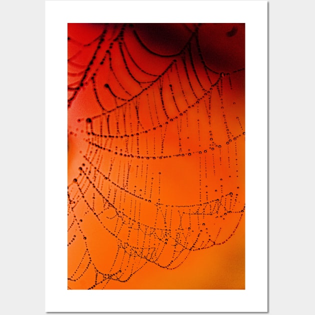 Trippy Web Wall Art by PilkinsPhotography